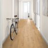 LAMINAT L1005 HRAST PREDAIA HONEY 4V 8/33 O Aqua C-it