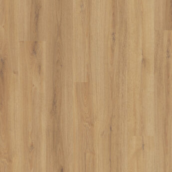 VINIL WPC 2002 HRAST PRADO 8,0/0,55 MM 33/42 5G CLICK