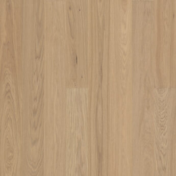 FURNET HRAST STENINGE BLEND MISTY WHITE LAK 4V 5GDry