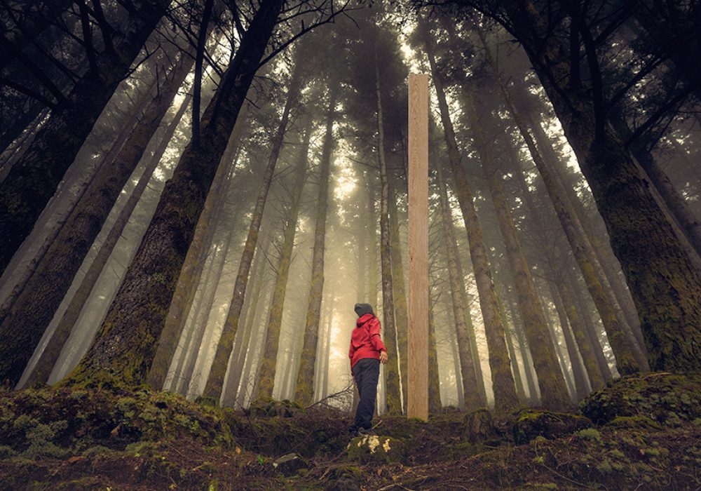forest-galerija